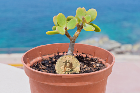 Bitcoin Mining Cryptocurrency Mining Concept at Home Farmsの写真素材