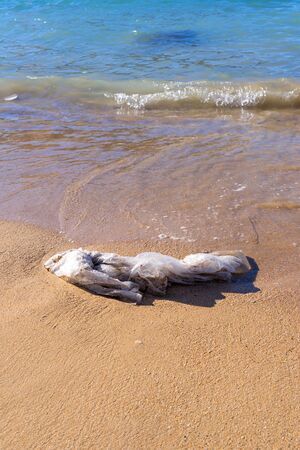 Discarded plastic bag by wave on sandy beach shore, closeup view. Global oceans pollution concept, verticalの写真素材