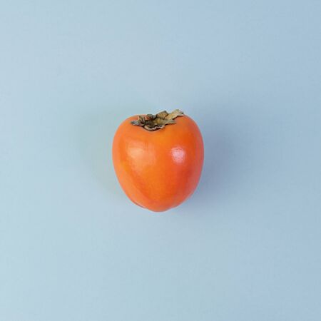 One ripe persimmon on blue background. Minimal concept for decoration with copy spaceの写真素材