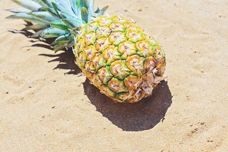 Closeup view of ripe pineapple fruit on sandy beach with copy space. Summer background concept