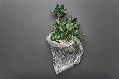 Natural plant branch wrapped in wrap on gray background. Zero waste and consumption reduction of plastic conceptの写真素材