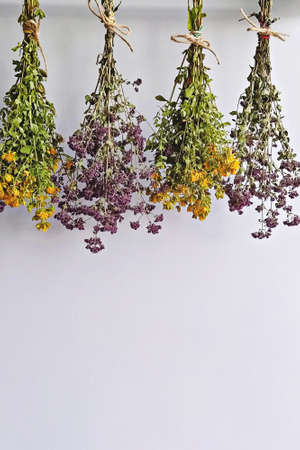 Dried herb bundles of oregano and tutsan hanging upside down to preservation on white with copy space. Methods of preservation for herbs or flowers for use in winterの写真素材