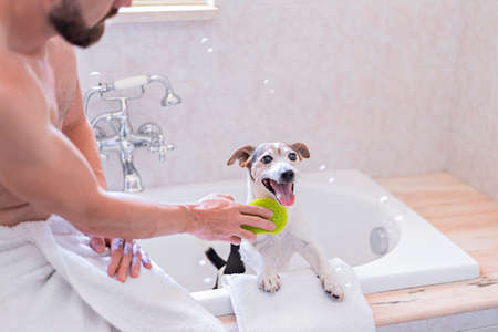 Funny dog with shower cap having fun with soap bubbles in bathroom