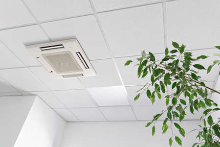 Cassette air conditioner on ceiling in modern light office or apartment with green ficus plant...