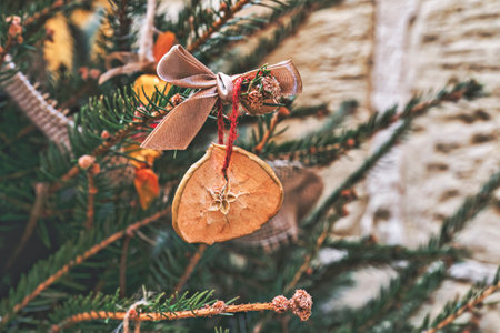 Decorating Christmas tree with dried piece apple with red ribbon. Natural DIY ornaments for...