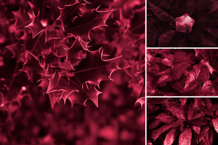 Collage with palette shades samples on floral theme backgrounds. Holly plant, hostas, leaves texture...