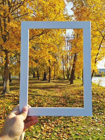 Hand holds white frame, capturing vibrant autumn park with golden leaves and trees in backgroundの写真素材