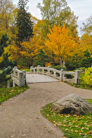White footbridge crosses garden path amid golden autumn trees and fallen leaves in peaceful city parkの写真素材