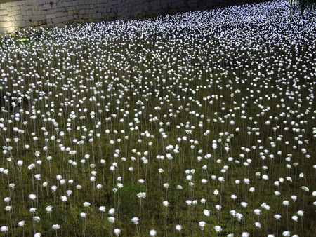 Seoul, South Korea. - October 27, 2015 : LED rose garden at Dongdaemun Design Plaza DDP 25,500 LED roses symbolizing the 70 years of Korean independence  70 x 365 days a year on October 27, 2015 in Seoul, South Koreaのeditorial素材