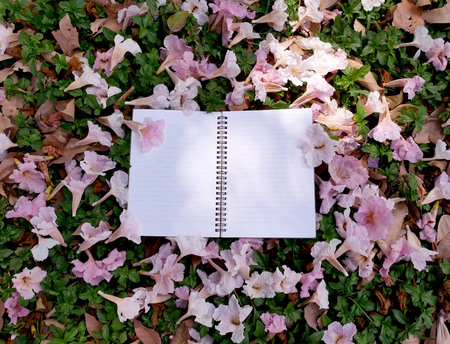 Empty blank note book with pink flower background.の写真素材