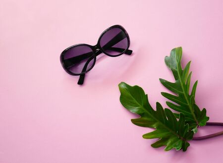 Sunglasses and tropical green leaves on pink background, with spring summer fashion accessory  minimal styleの写真素材