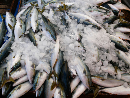 Fresh fish on ice at the fish market.の写真素材