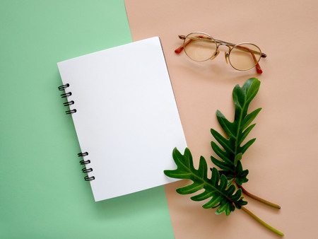 Flat lay of minimal workspace desk with notebook, eyeglasses and green leaves on pastel color...