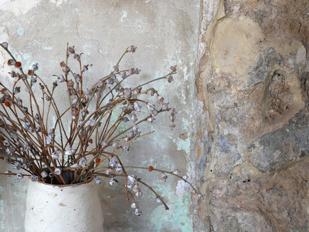 Home interior with dried flower against a rough concrete wall.の写真素材