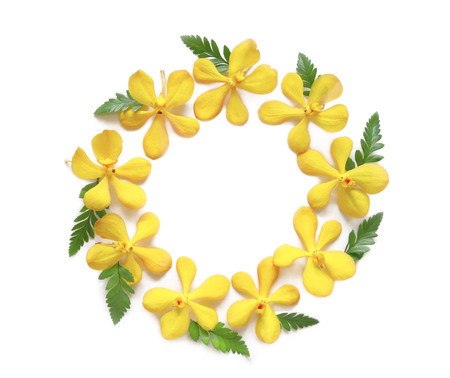 Round frame with yellow orchid flowers on white backgroundの写真素材