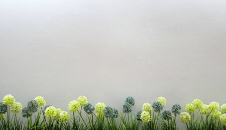 Spring flowers border with copy space on concrete wall background. Springtime holidays.の写真素材