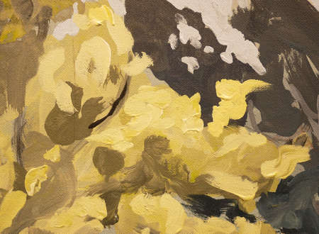 Yellow and dark grey color paint texture with brush strokes abstract art background, fragment of acrylic painting on canvas.の写真素材