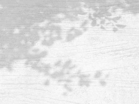 Shadow overlay effect. Natural leaves tree branch shadows on white concrete wall texture for photo,...