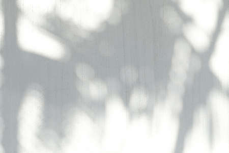 Abstract leaves shadow background on concrete wall texture, overlay effect for photo, mock up, product, wall art, design presentationの写真素材