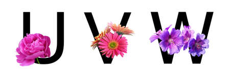 Flower font alphabet u, v, w made of real flowers. Collection of flora font for decoration in spring, summer concept.の写真素材