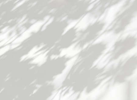 Abstract shadow of leaves on a white wall, overlay effect for photo, mock up, posters, stationary, wall art, design presentationの写真素材