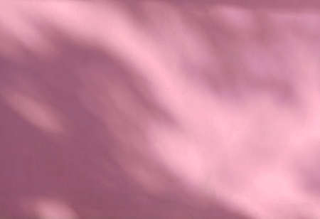 Shadow of leaves on a pink wall, overlay effect for photo, mock up, product, wall art, design presentationの写真素材