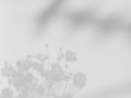Background with shadow of flower on white wall backgroundの写真素材