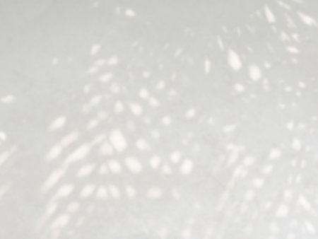 Abstract shadow of leaves on a white wall, overlay effect for photo, mock up, posters, stationary, wall art, design presentationの写真素材