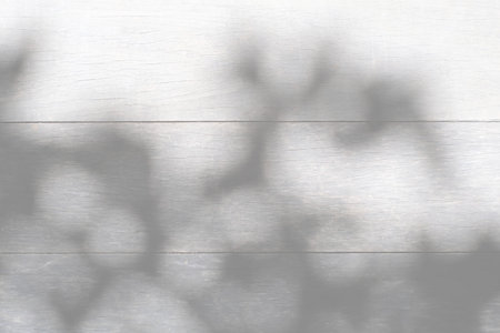 Background with leaves natural shadow overlay effect on wooden textureの写真素材