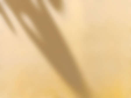 Abstract shadow of leaves on yellow wall, overlay effect for photo, mock up, posters, stationary,...