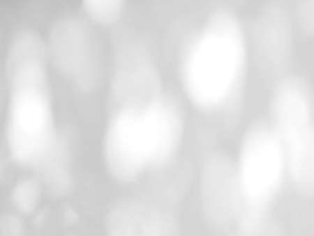 Abstract shadow of leaves on a white wall, overlay effect for photo, mock up, product, wall art, design presentationの写真素材