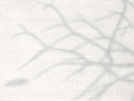 Abstract shadow of tree branch on concrete, overlay effect for photo, mock up, product, wall art, design presentationの写真素材