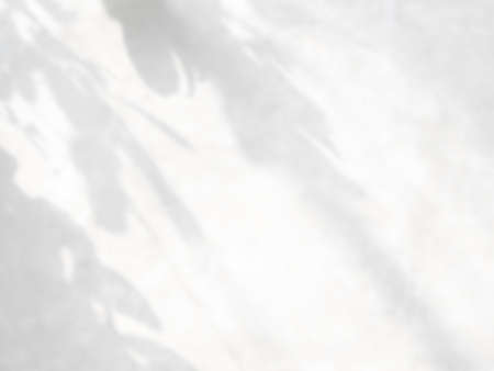 Plant leaves natural shadow overlay on white texture backgroundの写真素材