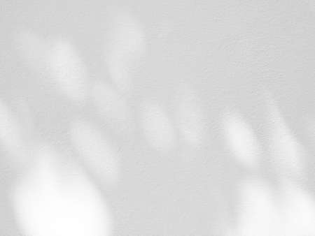 Leaf shadow shadow and light from sunlight dappled on white concrete wall background.の写真素材