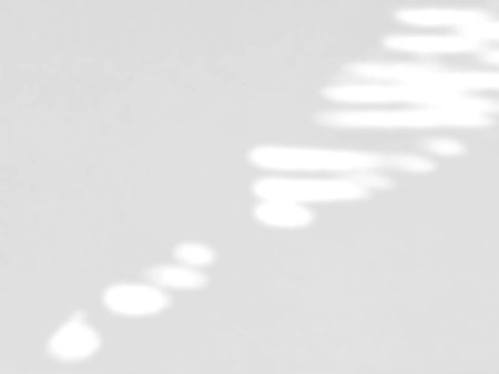 Abstract shadow of leaves on a white wall, overlay effect for photo, mock up, product, wall art, design presentationの写真素材