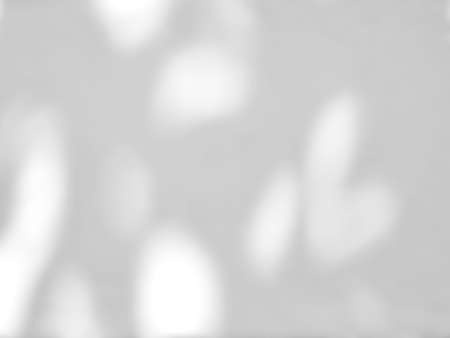 Abstract shadow of leaves on a white wall, overlay effect for photo, mock up, product, wall art,...