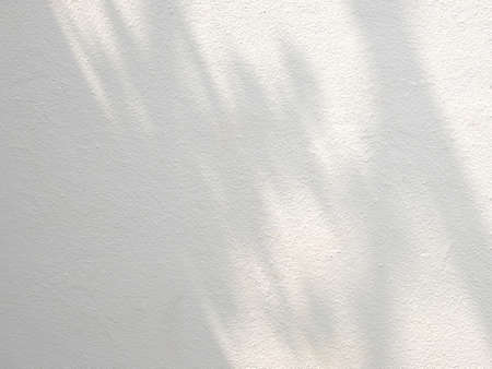 Abstract shadow of leaves on concrete wall, overlay effect for photo, mock up, product, wall art, design presentationの写真素材