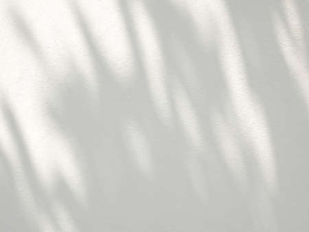 Leaf shadow and light from sunlight dappled on white concrete wall background.の写真素材