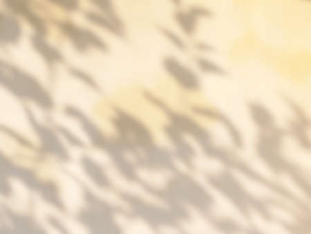 Shadow of leaf on light yellow color background. Abstract neutral nature concept background.