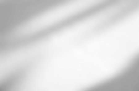 Abstract shadow of leaves on a white wall, overlay effect for photo, mock up, product, wall art, design presentationの写真素材