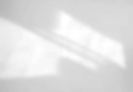 Abstract shadow of leaves on a white wall, overlay effect for photo, mock up, product, wall art, design presentationの写真素材