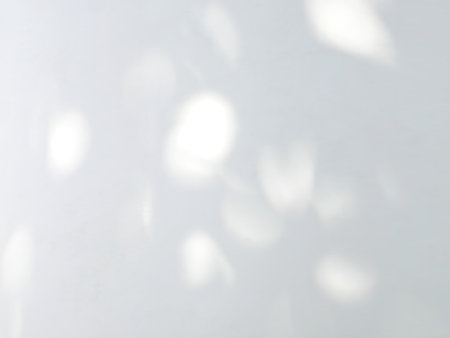 Leaf shadow and light from sunlight dappled on white wall background.の写真素材