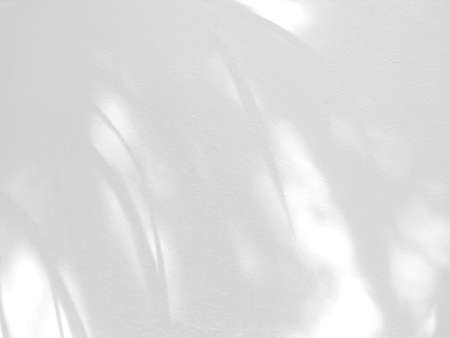 Leaf shadow and light on white concrete wall background, overlay effect for photo, mock up, product, wall art, design presentationの写真素材