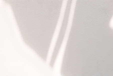 Leaf shadows on a cement background, overlay effect for photo, mock up, product, wall art, design presentationの写真素材