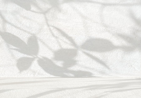 Nature leaves shadow on rough concrete wall, overlay effect for photo, mock up, product, wall art, design presentationの写真素材