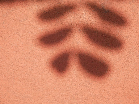 Shadow of leaves on coral color rough wall background, overlay effect for photo, mock up, product, wall art, design presentationの写真素材
