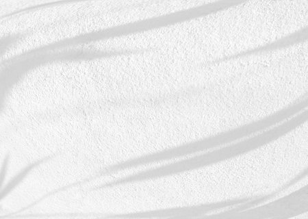Abstract shadow of leaves on white concrete wall, overlay effect for photo, mock up, product, wall art, design presentationの写真素材