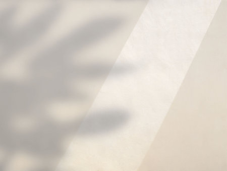 Shadow of leaves on beige wall background, overlay effect for photo, mock up, product, wall art, design presentationの写真素材
