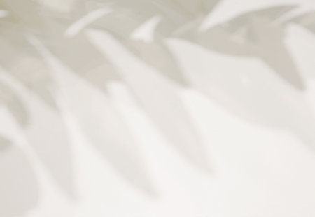 Natural leaves shadow on white wall, overlay effect for photo, mock up, product, wall art, design presentationの写真素材