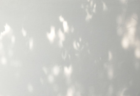 Shadow and light of leaves reflection on concrete wall, shadows overlay effect, mockup design. Black and white artistic abstract backgroundの写真素材